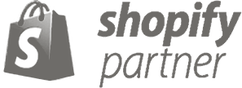Shopify Partner