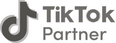 TikTok Partner